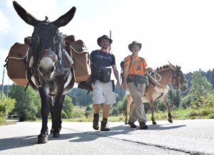 Heureux comme Marius : Stéphane Blaise et Céline Bugnon ont tout quitter pour marcher avec un âne et une mule pendant trois ans... Ils étaient de passage à Pontarlier.